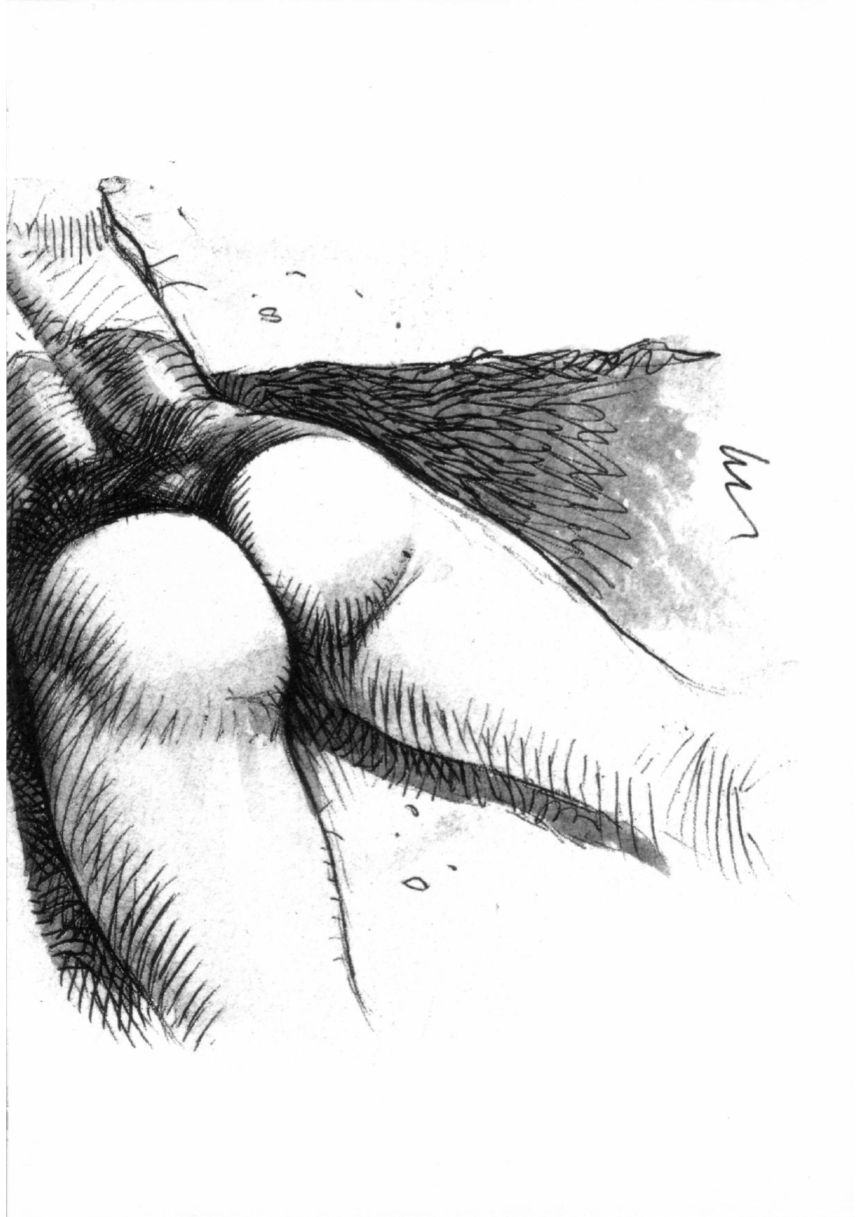 [Paolo Eleuteri Serpieri] Sketchbook