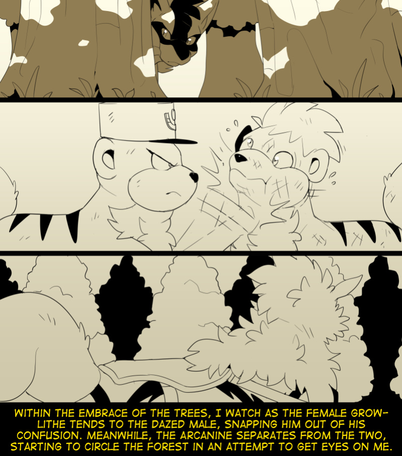 [Fidchell] Hildegard's Quest for Aura - Arcanine (16)