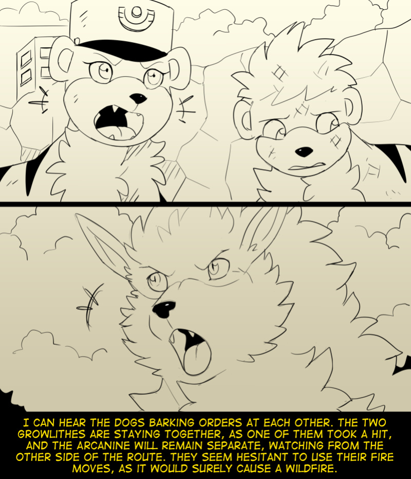 [Fidchell] Hildegard's Quest for Aura - Arcanine (16)