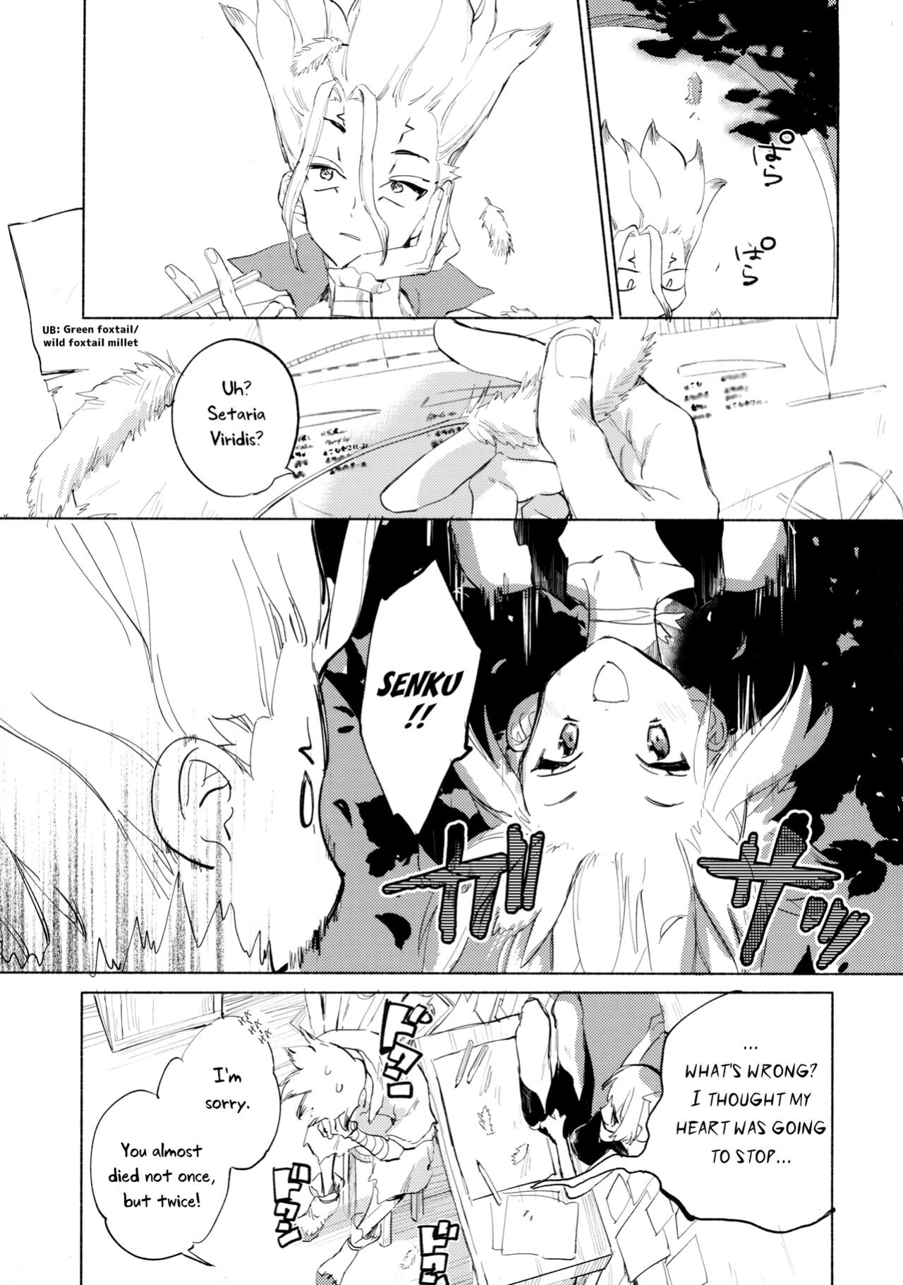 (The ROCK 2) [tcnc (Serizawa Nae)] Sekki Sekai de Mabushii Natsu (Dr. STONE) [Uncle Bane]