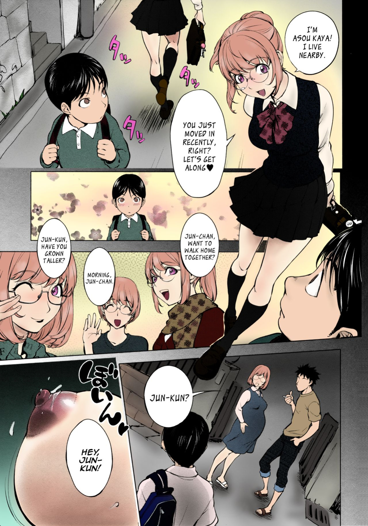 [KON-KIT] KayaNetori Kaya-Nee Series Aizou Ban1-21th