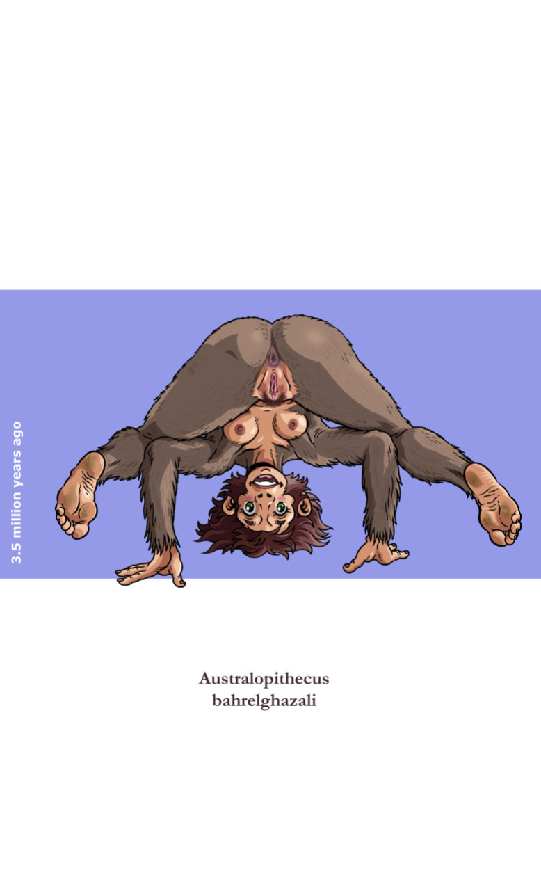 [Madoc] Indecent Descent - Viva La Evolucion! (Updated 11/07/2023)