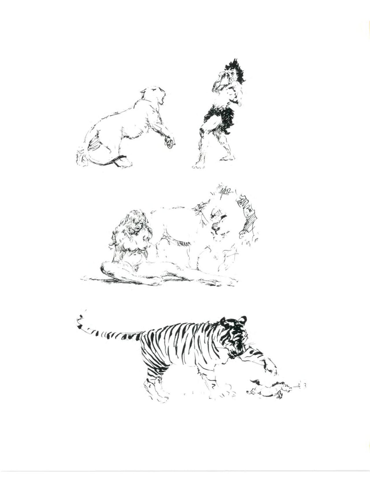 [Frank Frazetta] The Fantastic Art of Frank Frazetta - 1, 2 and 3 [Engish]