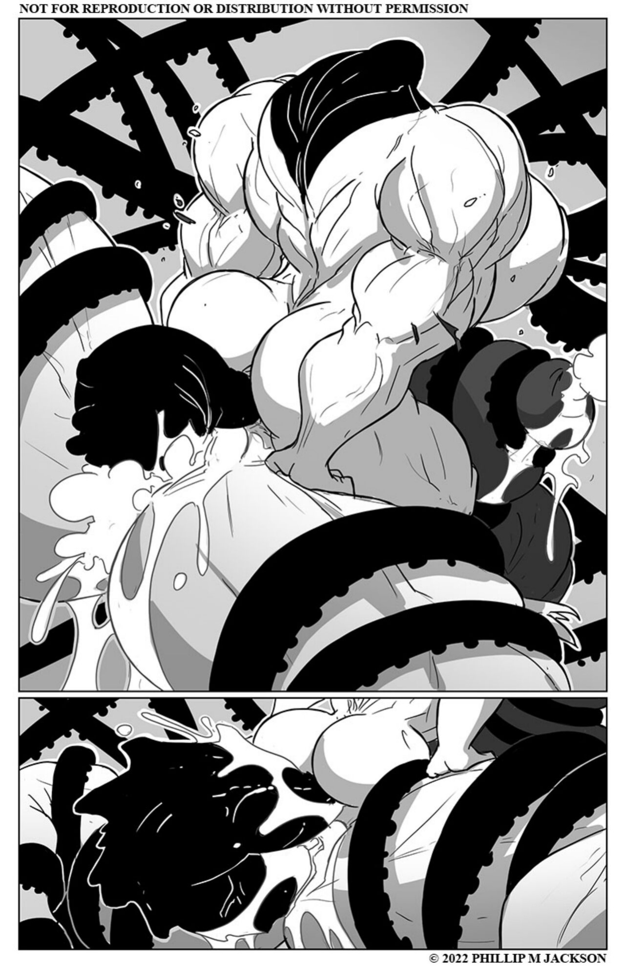 [Jolly Jack] Snare