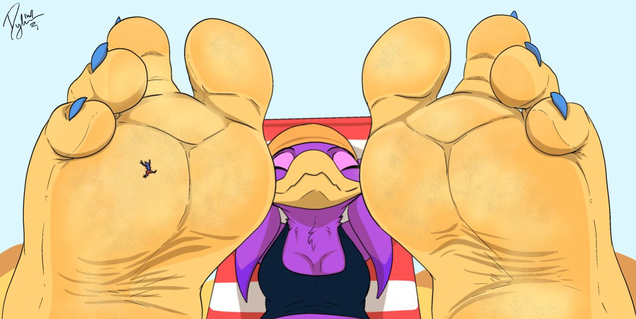 Dylbun Jet the Hawk and Wave the Swallow Arts