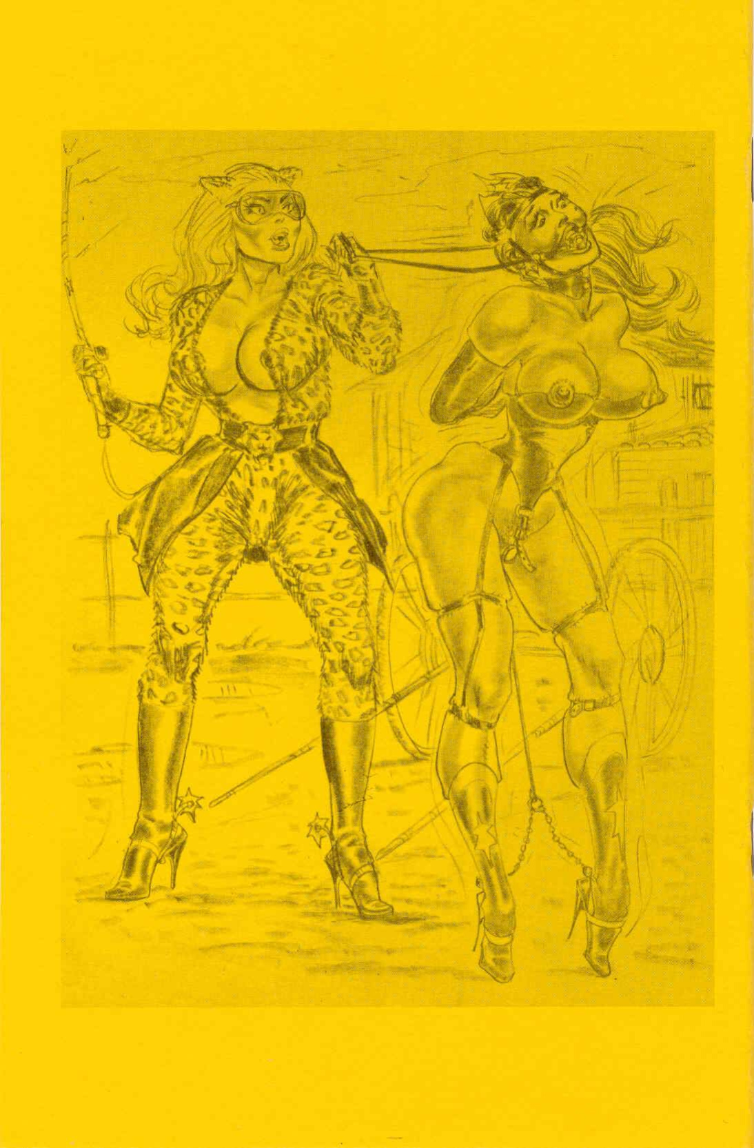 Stanton-Blunder Woman 04