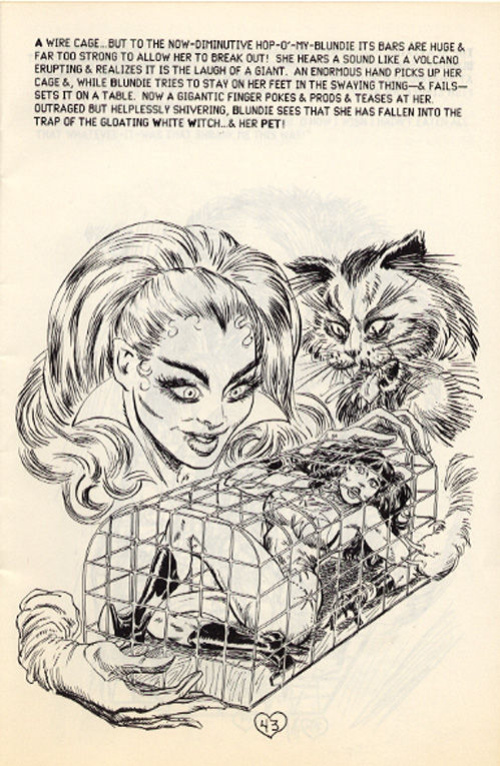 Stanton-Blunder Woman 04