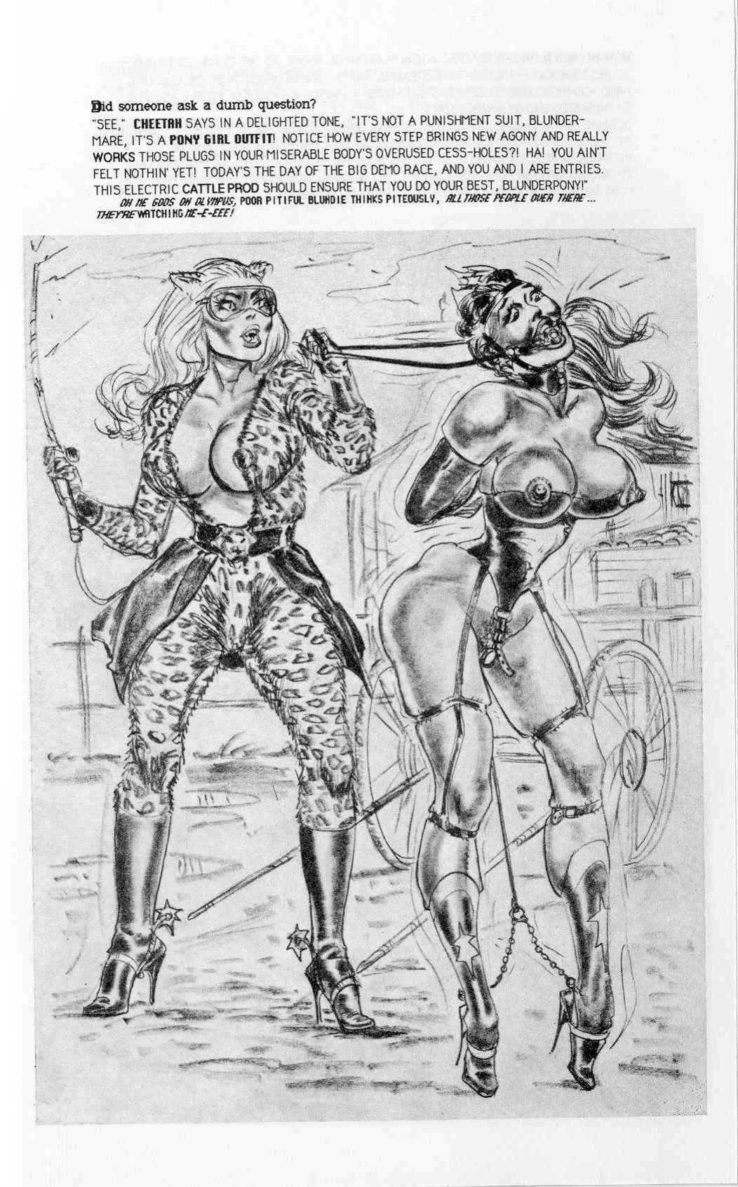 Stanton-Blunder Woman 03