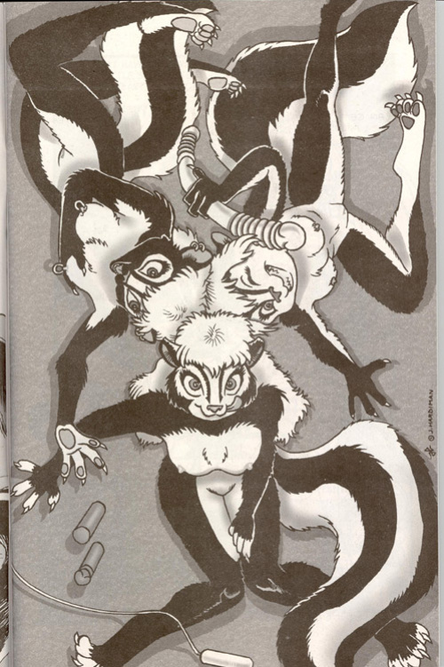 [Skunkworks (James Hardiman)] Skunkworks Reflections