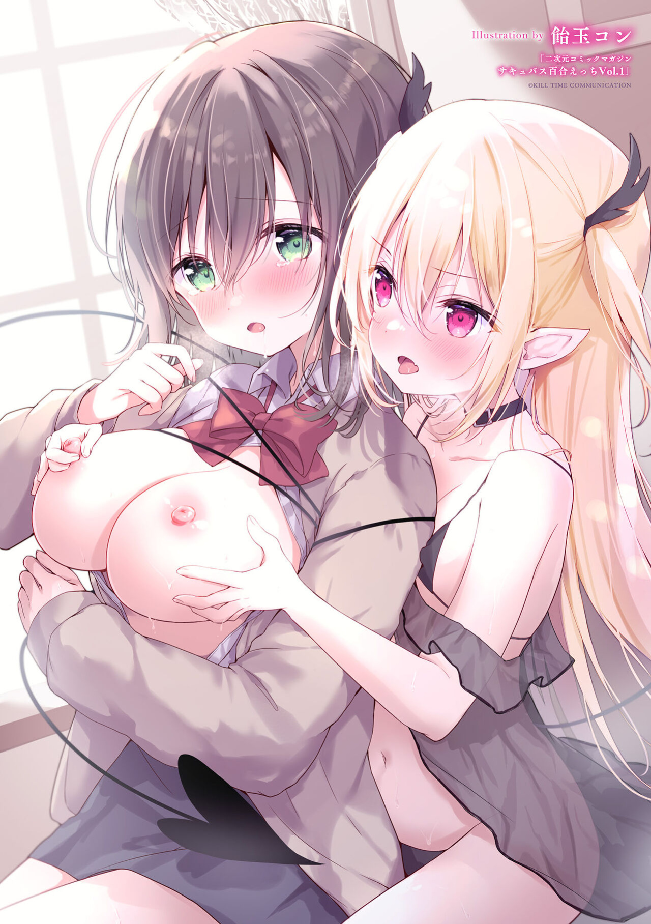 [Anthology] 2D Comic Magazine Succubus Yuri H Vol. 1