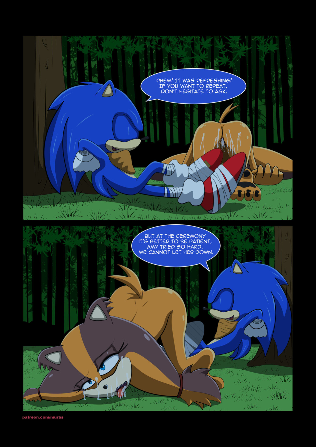 [Murasaki] Wild Heart (Sonic The Hedgehog)