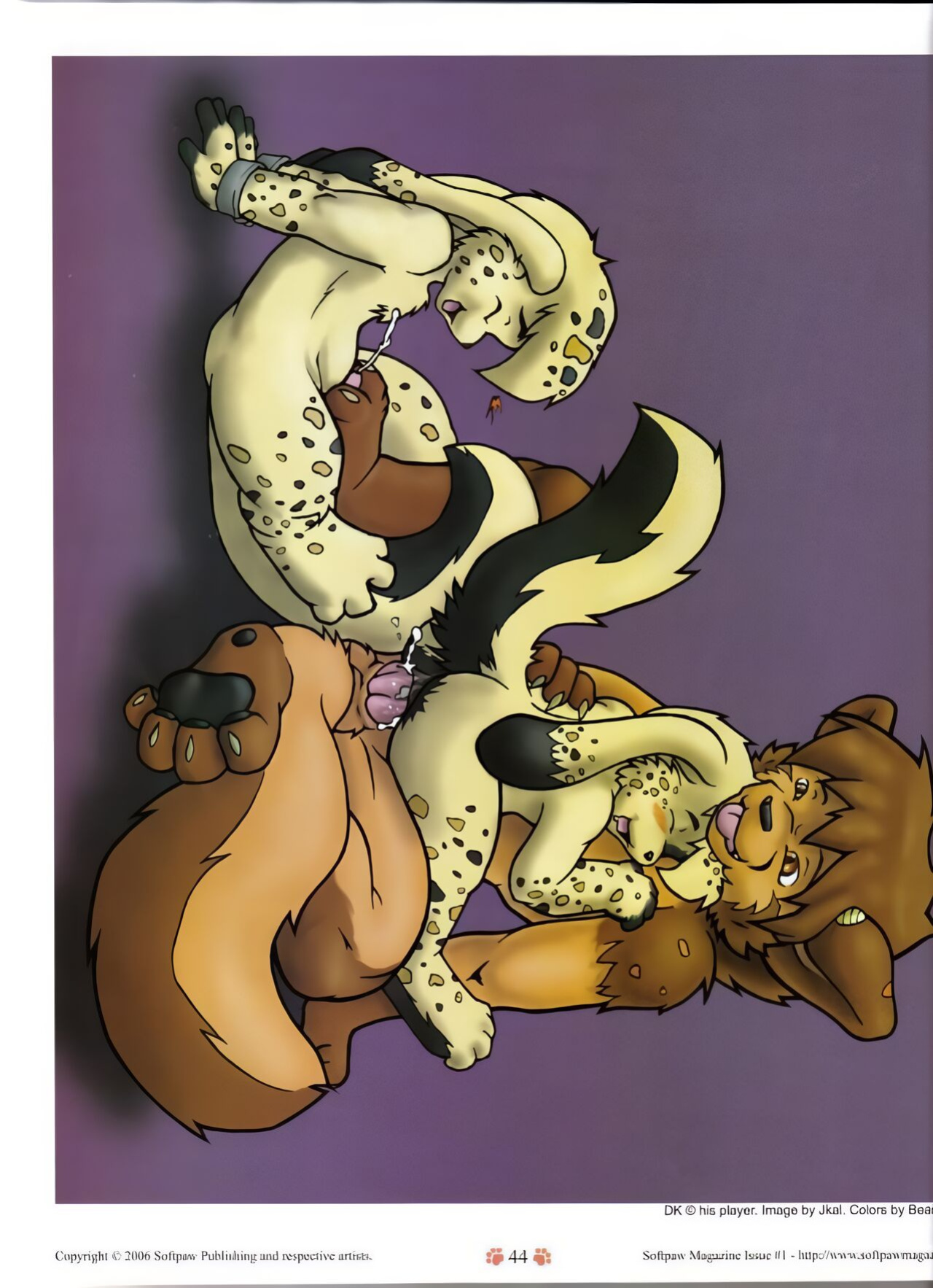 Softpaw 1