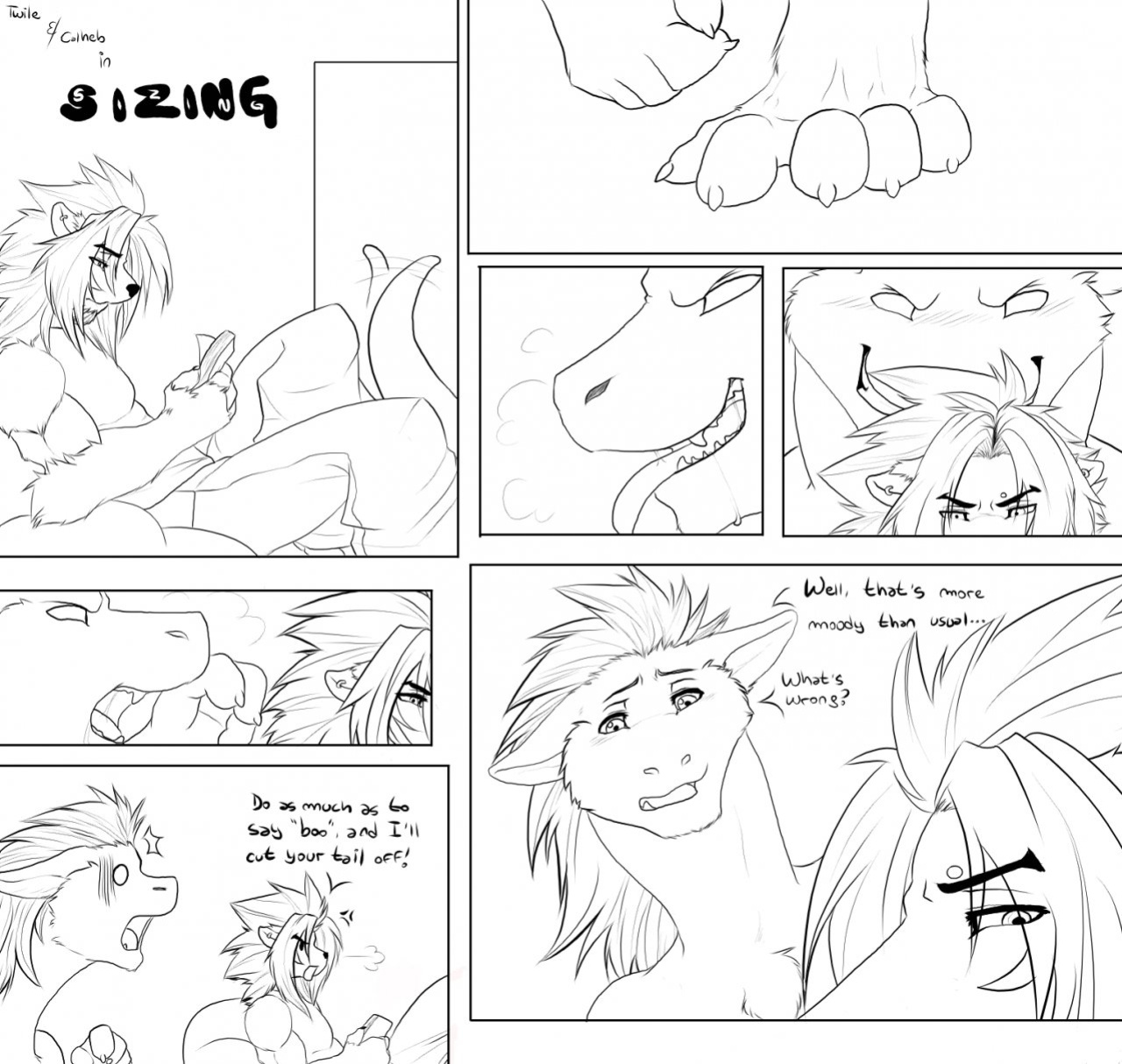 [Calheb-DB] Sizing