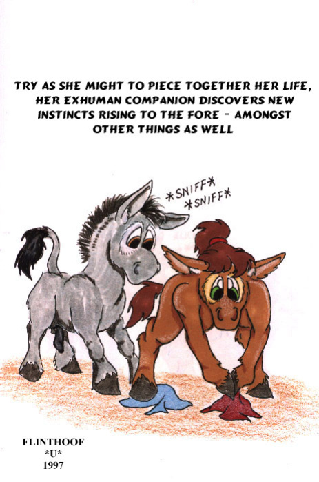 [Flinters] Donkey Tales