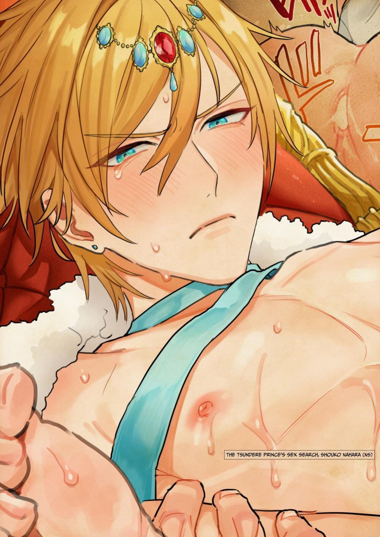 [NS (Nabara Shoko)] The Tsundere Prince's Sex Search
