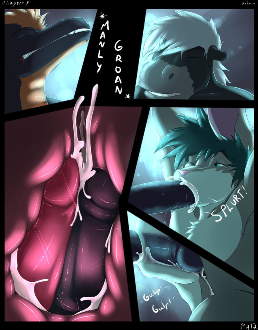 [Inoby] Lucid