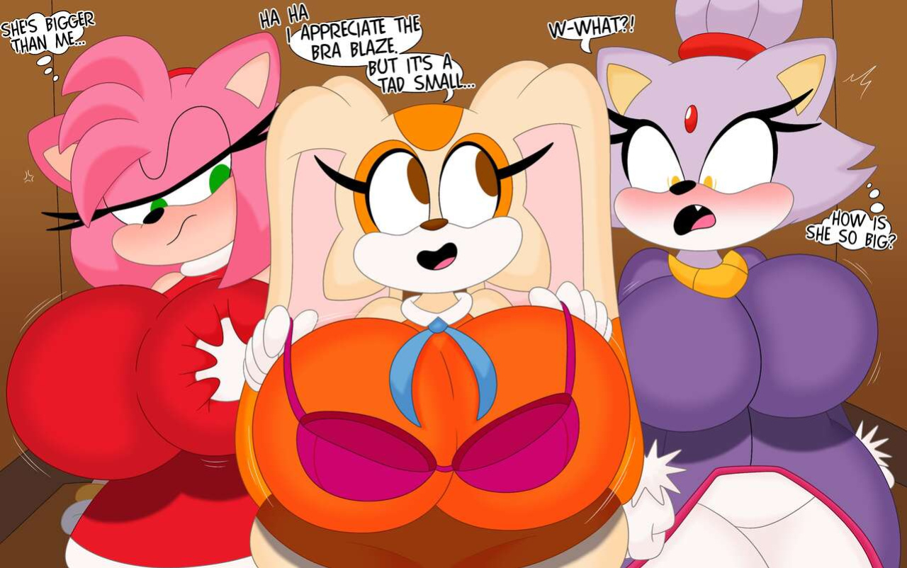 [3BArts] Amy Rose (Sonic the Hedgehog)