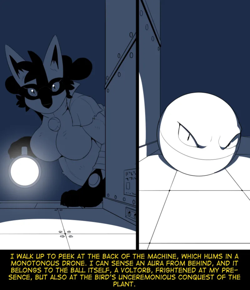 [Fidchell] Hildegard's Quest for Aura - Zapdos (17)