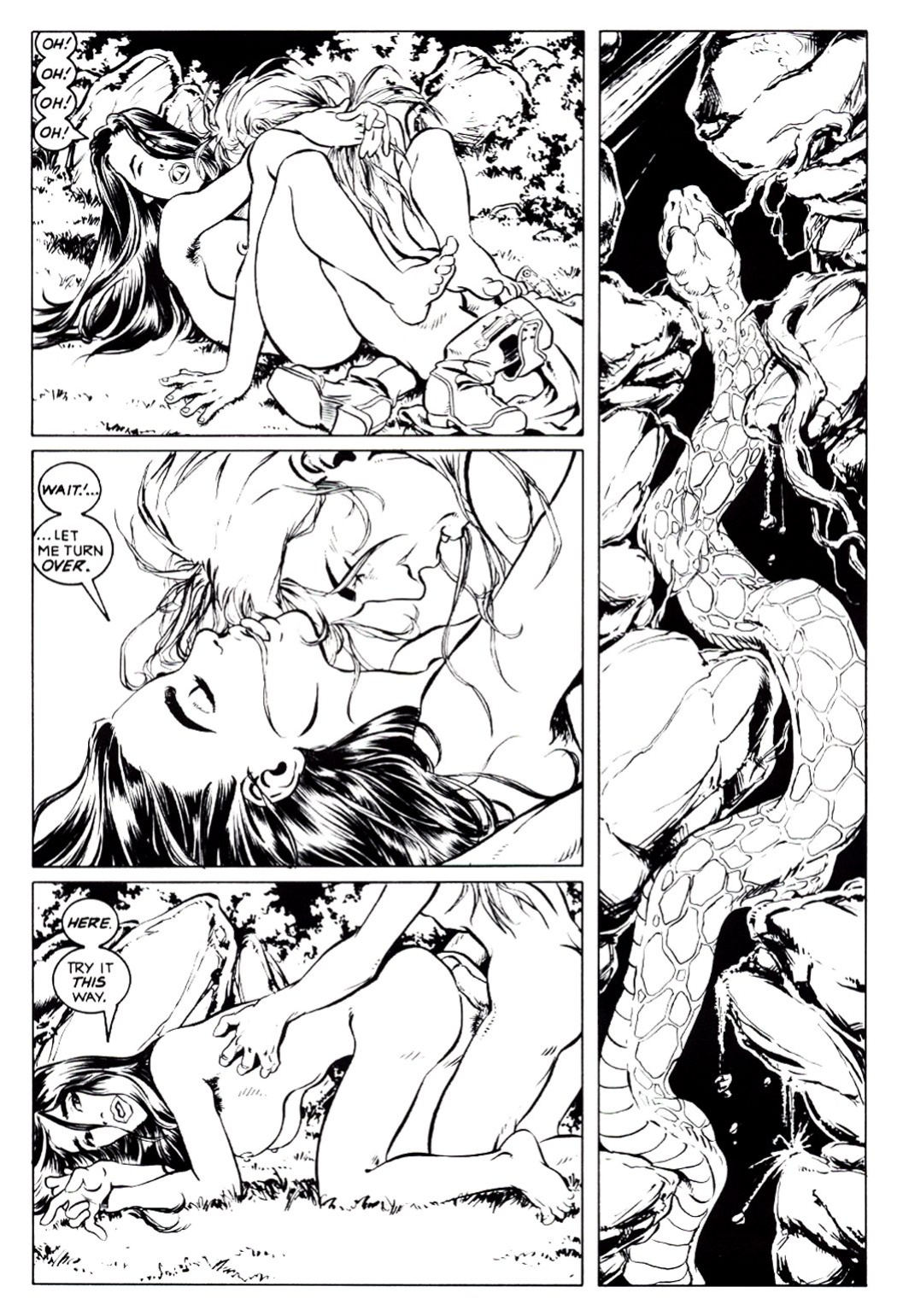 [Bill Willingham] Ironwood #1