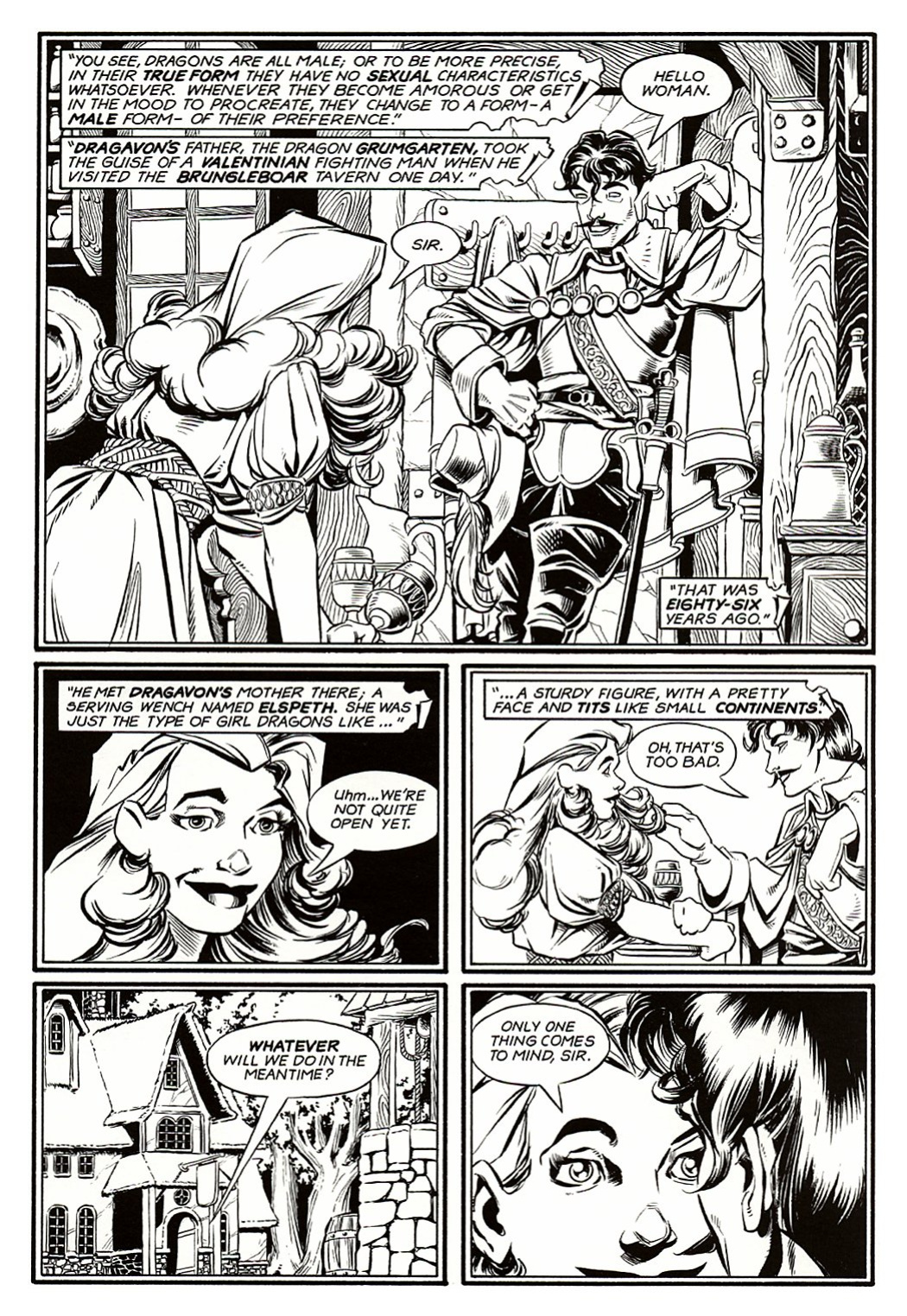 [Bill Willingham] Ironwood #2