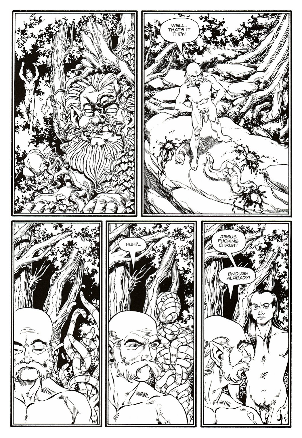 [Bill Willingham] Ironwood #2