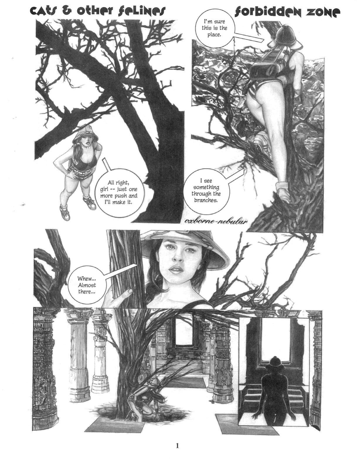 Sizzle Comix # 15