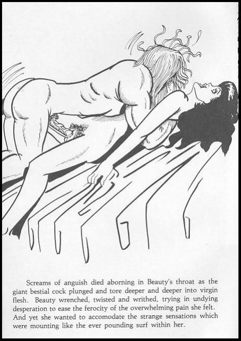 Beauty And The Beast 70's Adult Comic