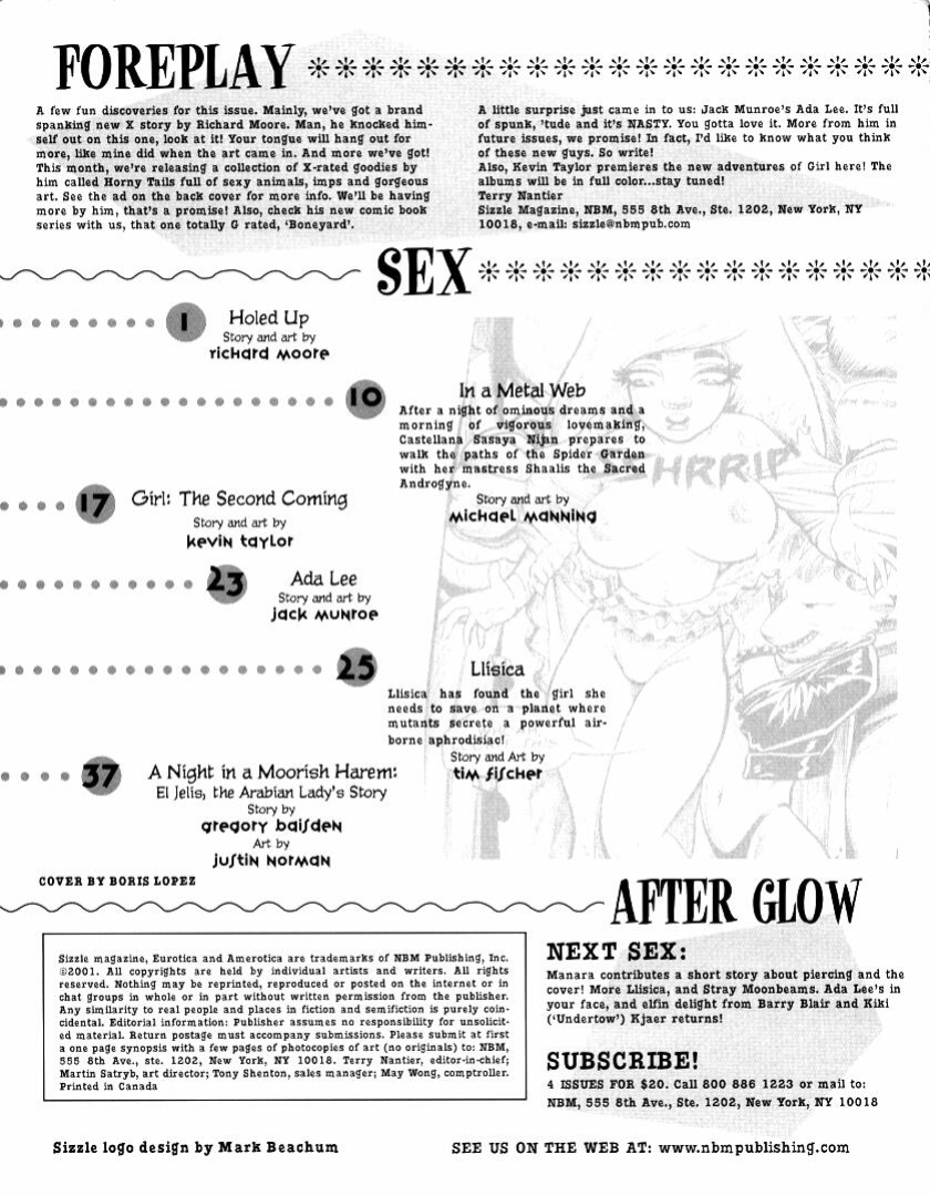 Sizzle Comix # 9
