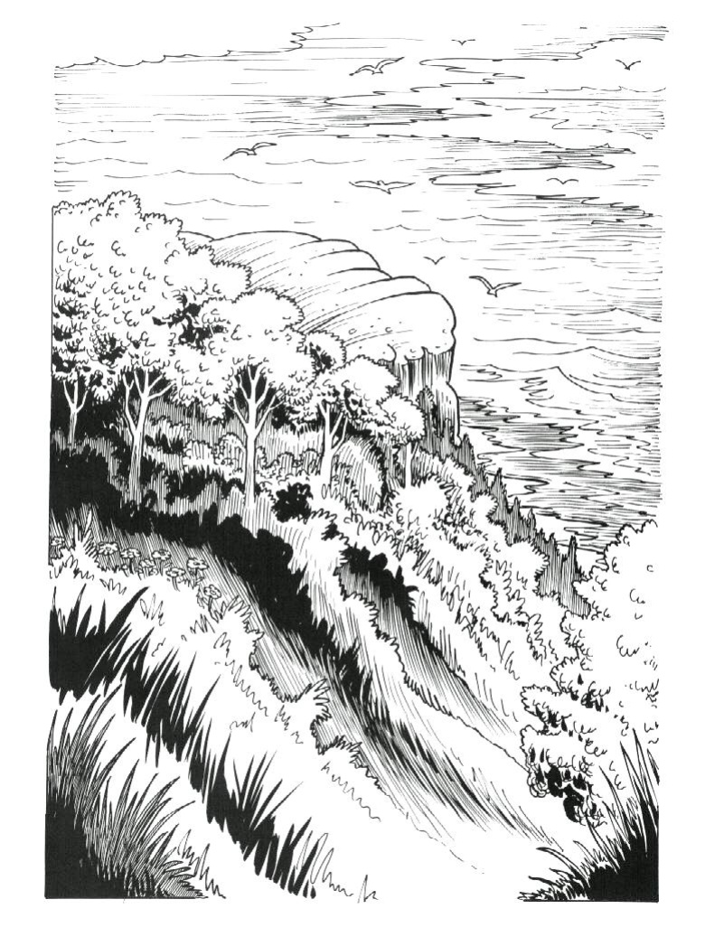 [John Blackburn] Coley Running Wild #4