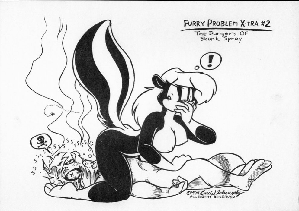 The Problems with Furry (Comedic Furry)