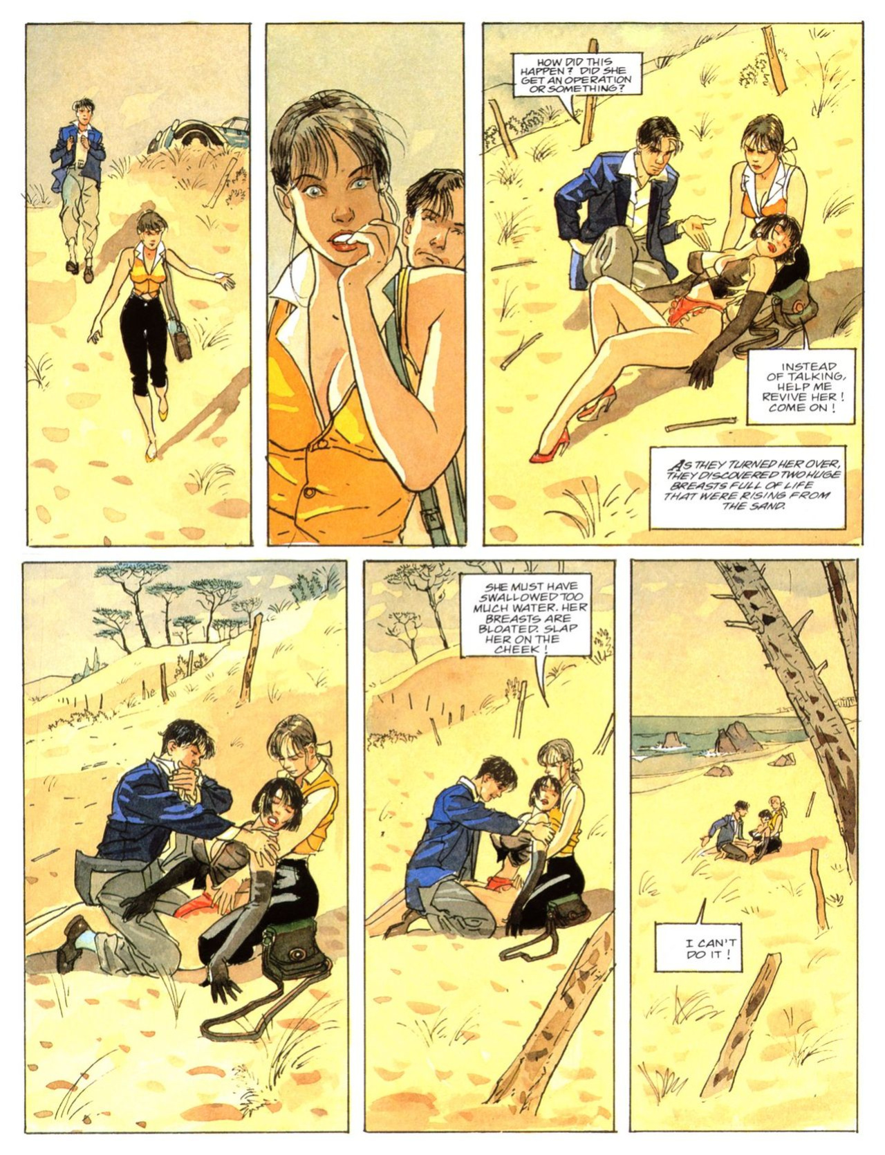 [Jean-Pierre Gibrat, Francis Leroi] Pinocchia