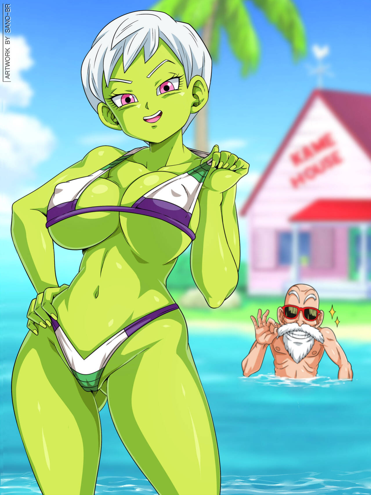Sano-br Cheelai Kame House DBS Pack