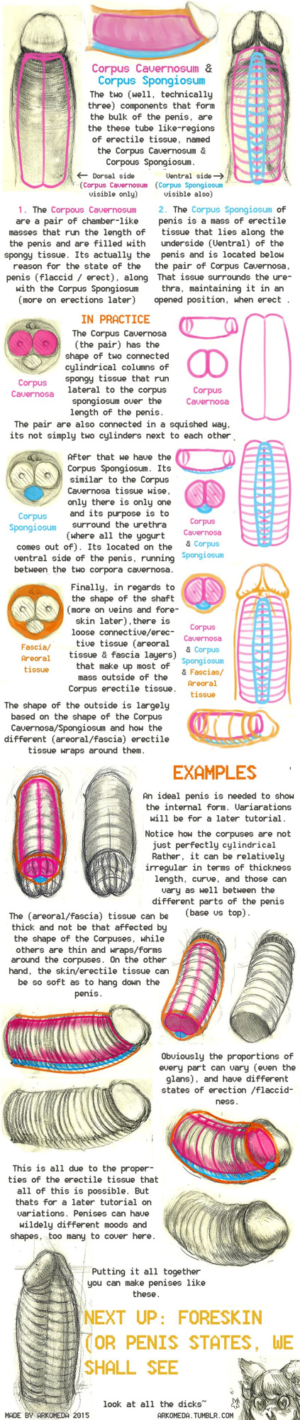 Arkomeda's Tutorials