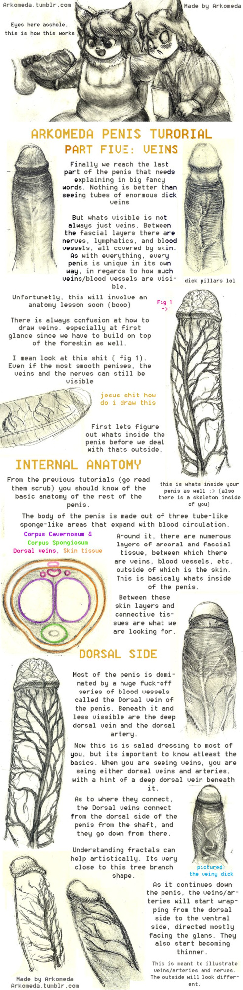 Arkomeda's Tutorials