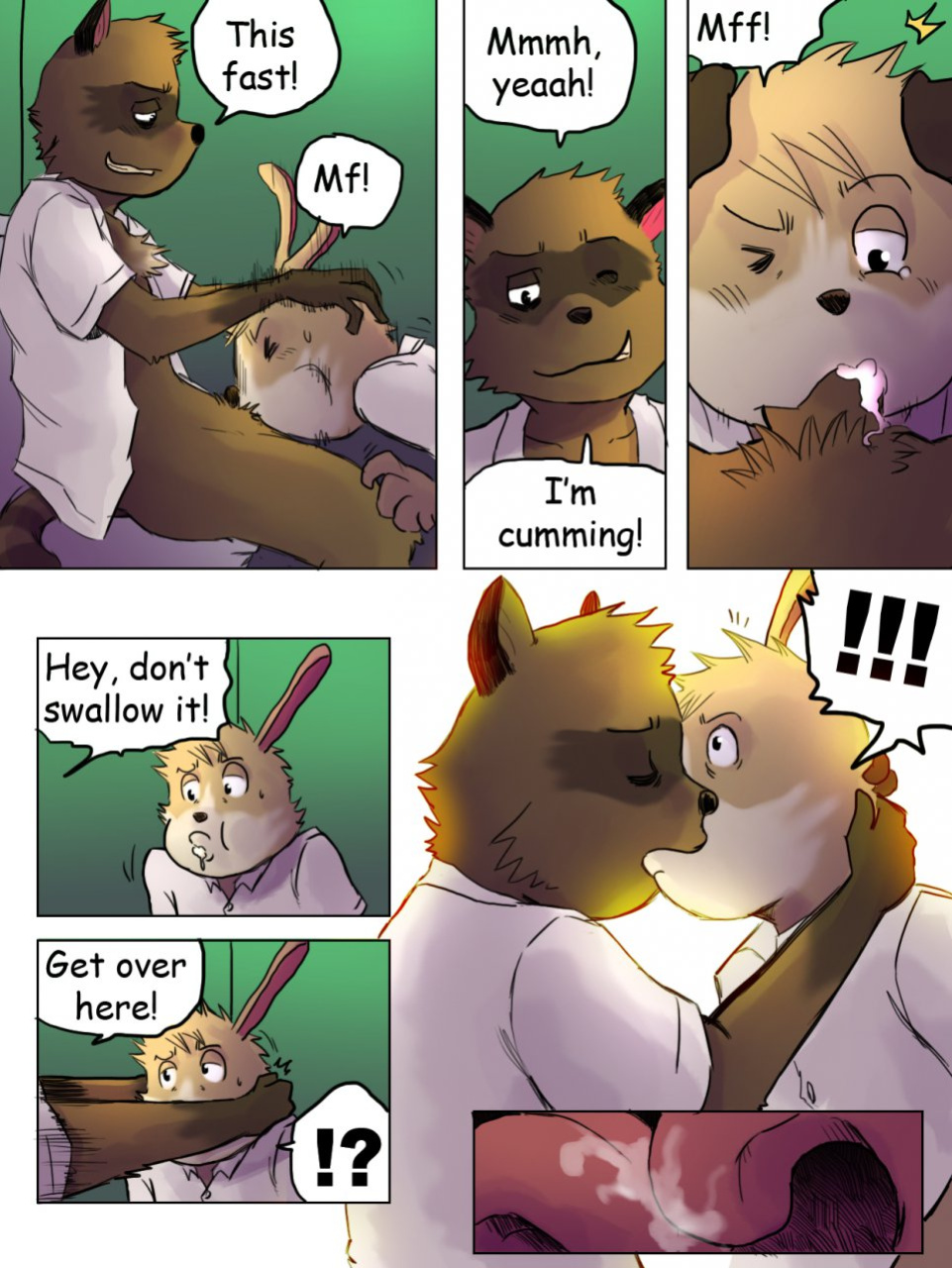 [Tolok] The story of the Racoon