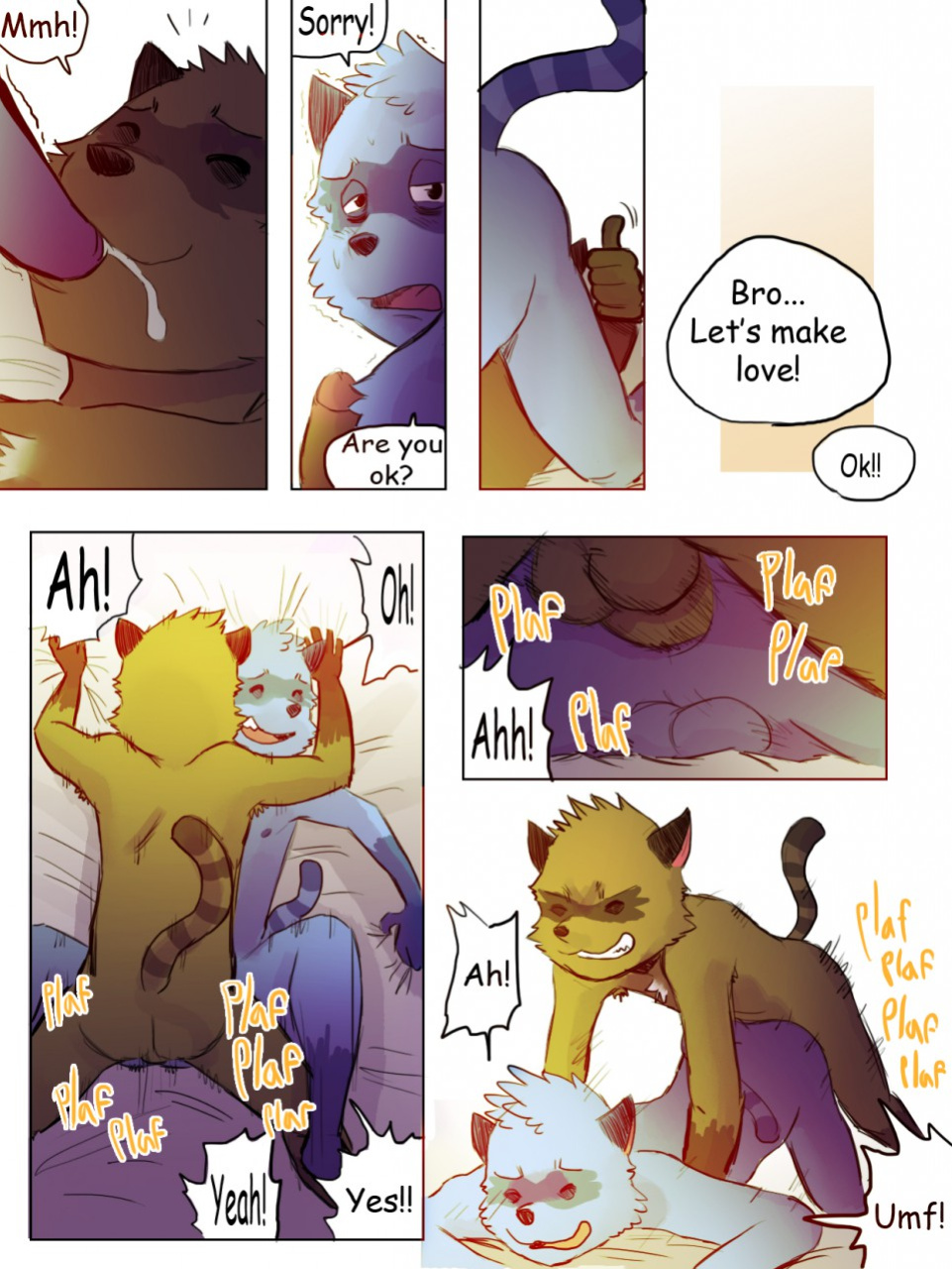[Tolok] The story of the Racoon