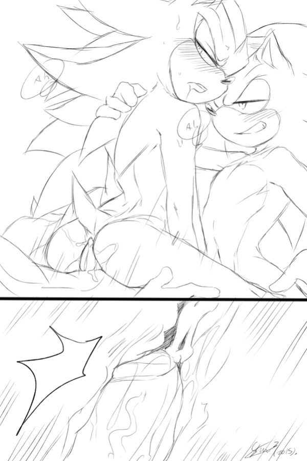 [Soina] Shadow Vs. The Many Sonics