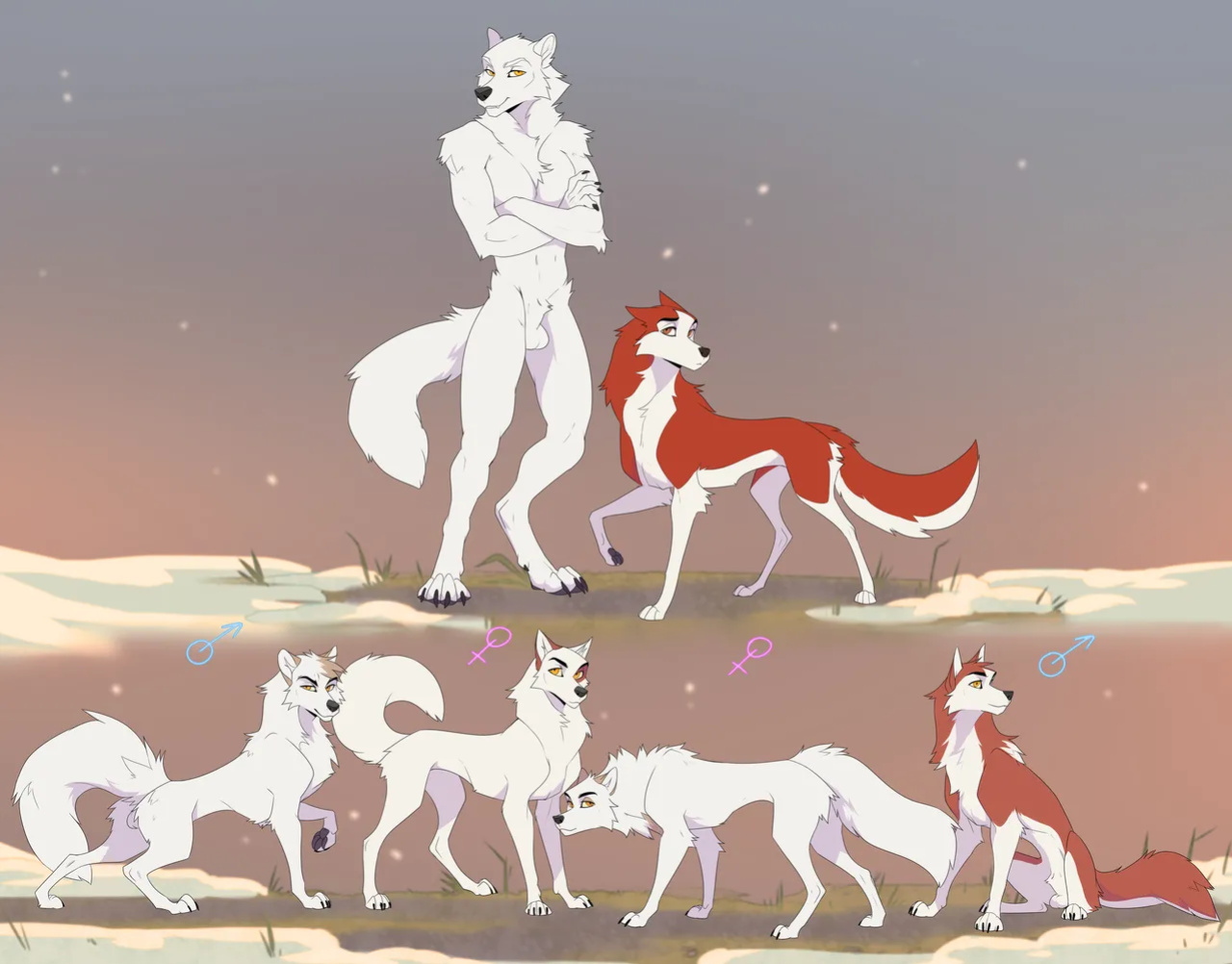 drmax Patreon Archive
