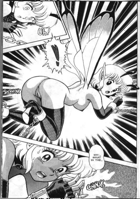 Bondage Fairies