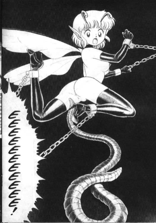 Bondage Fairies