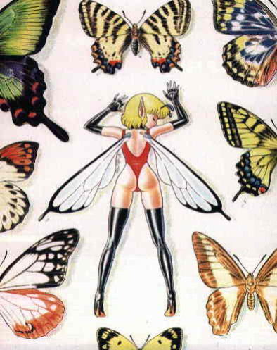 Bondage Fairies