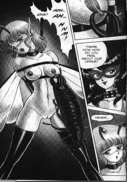 Bondage Fairies