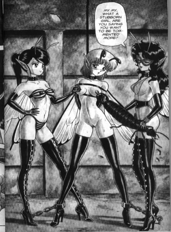 Bondage Fairies