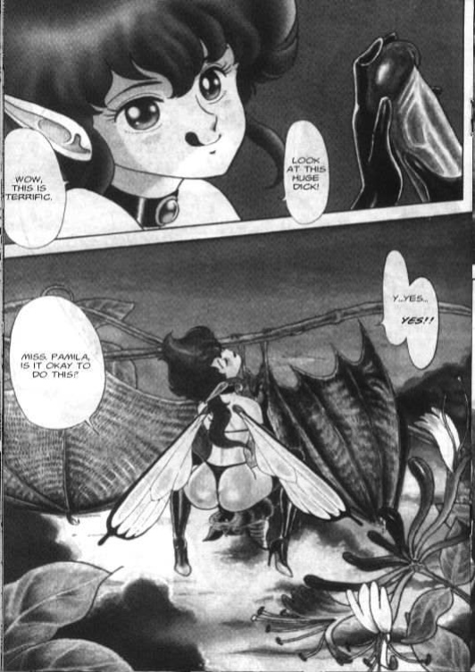 Bondage Fairies