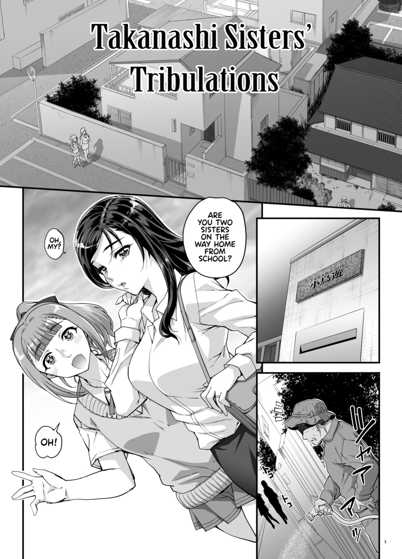 [Magonotei (Carn)] Takanashi Shimai no Junan - saimin sisters [Team Rabu2]