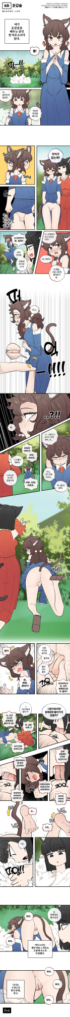 [LangD] 2023-12-22 둔갑술(忍術)(Transform)