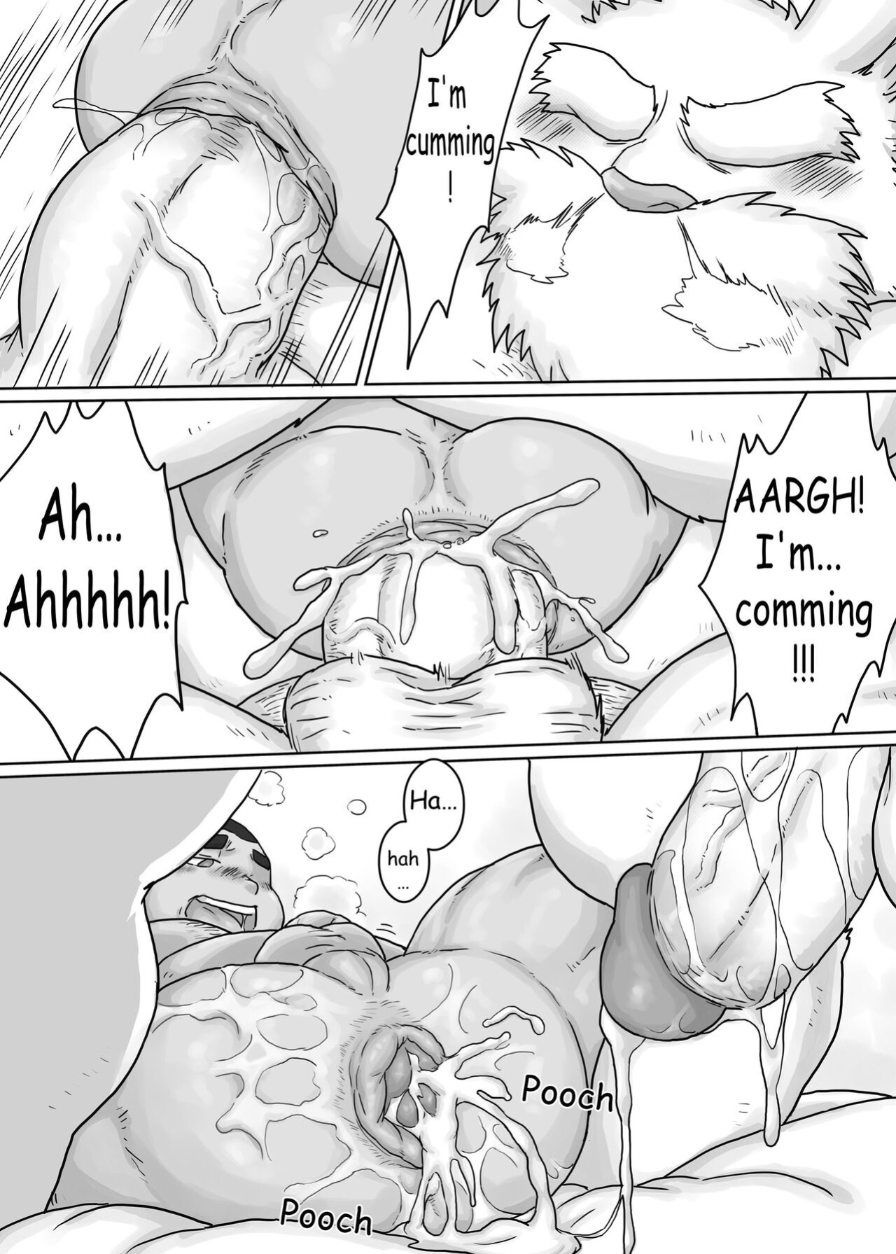 [Renoky] 12 zodiacal animals 1-4