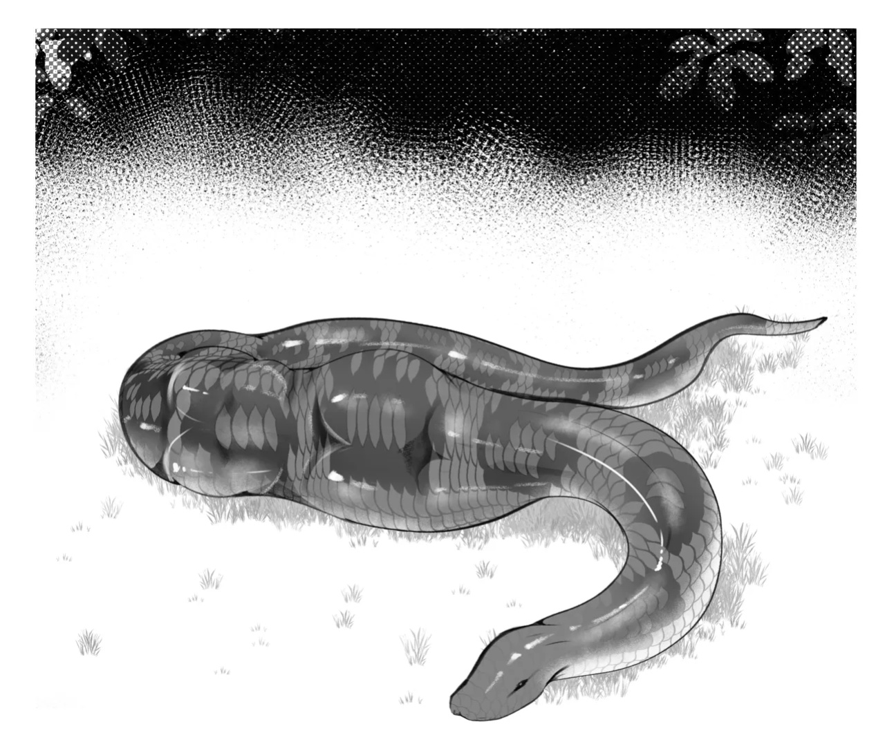 [fairyfud] Year of snake