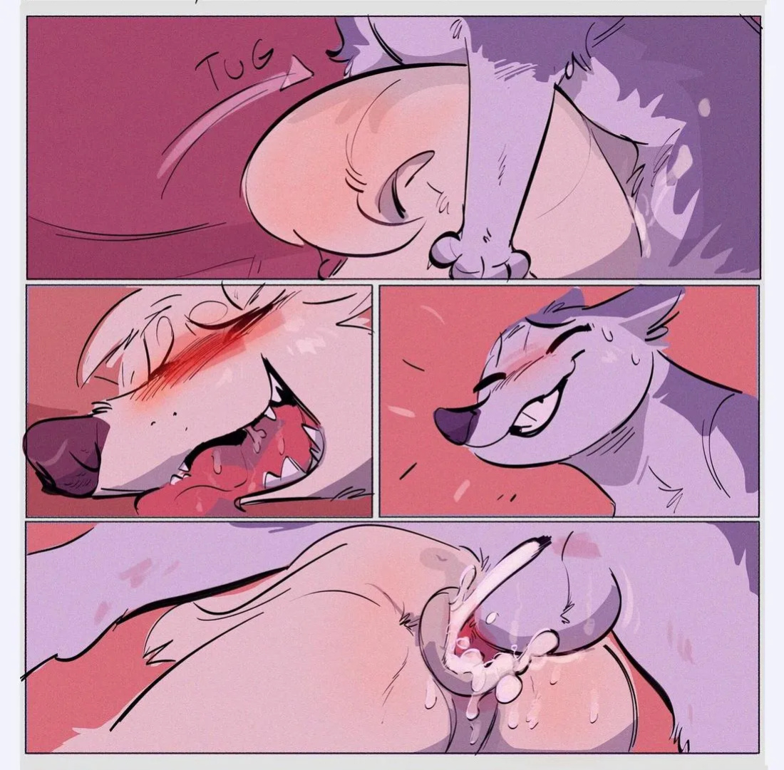 [Zoba] Cold Night in a Barn