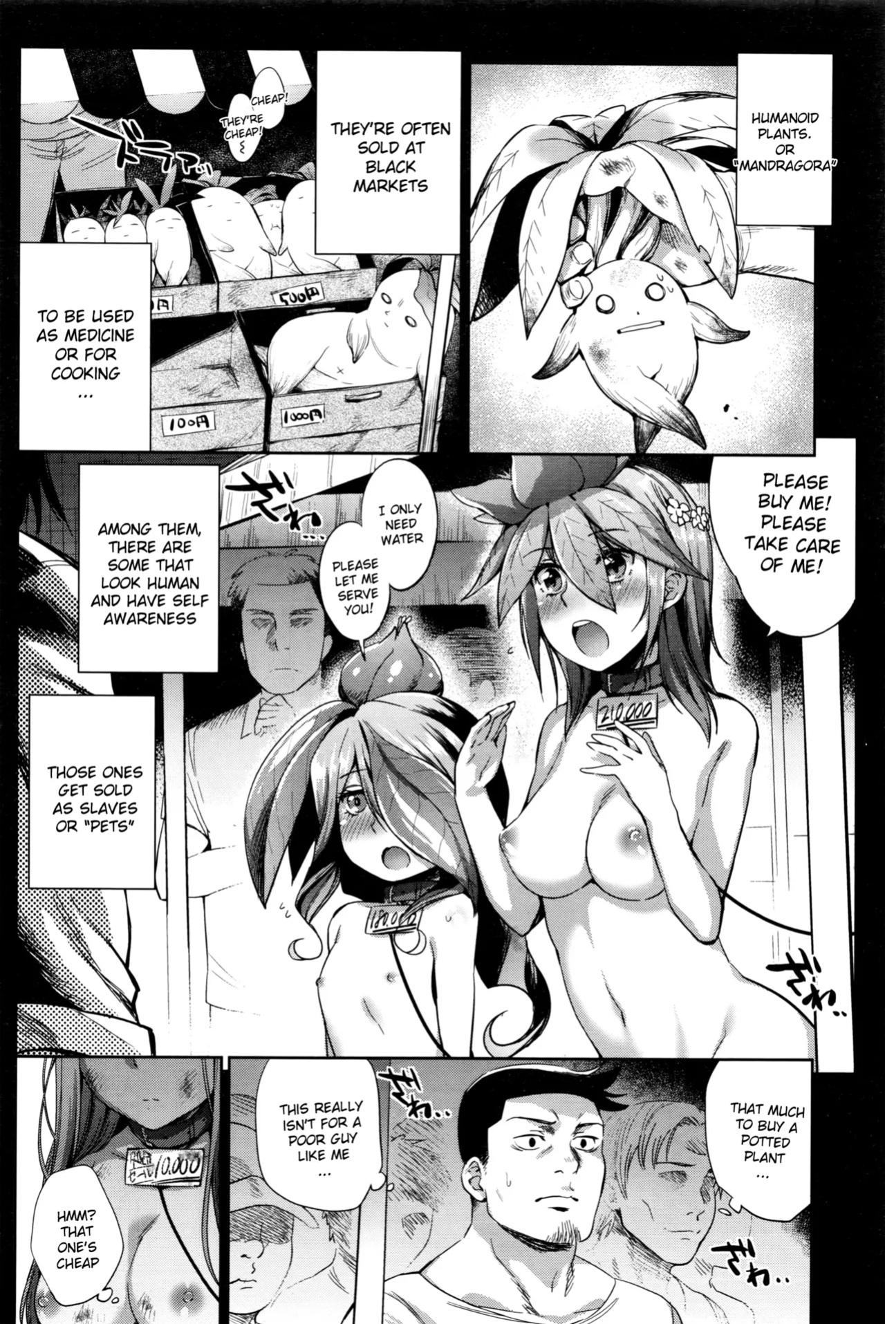 [Mizone] Shokubutsu no Sodatekata - How to raise plants (COMIC BAVEL 2016-04) [InsanePraetor+4chanH]